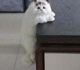 Hanging Cat Home Ornament Figurine