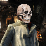 Halloween Full Head Skull Mask