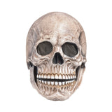 Halloween Full Head Skull Mask
